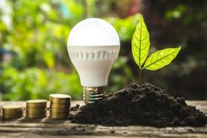 white bulb
