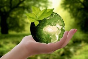 image about green earth on hand