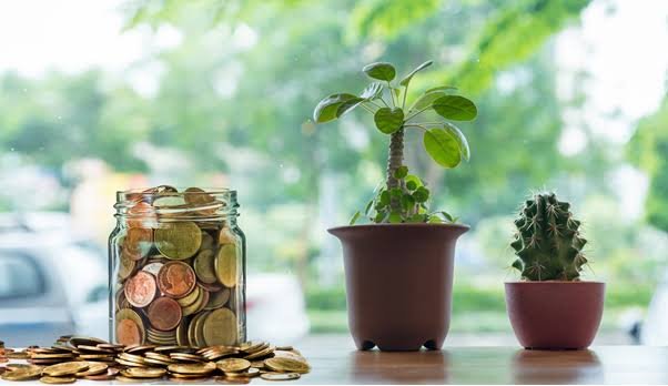 image about coins and plants