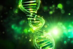 This image about dna